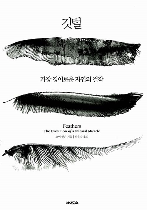 깃털 :가장 경이로운 자연의 걸작 