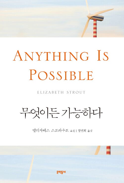 무엇이든 가능하다 :엘리자베스 스트라우트 소설