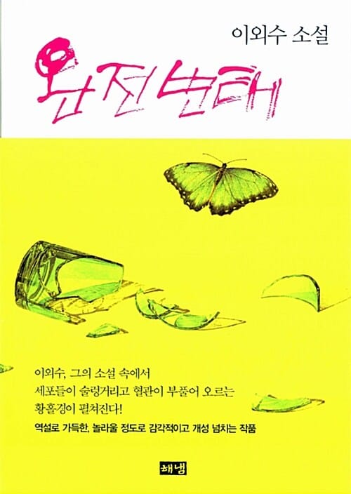 완전변태 :이외수 소설