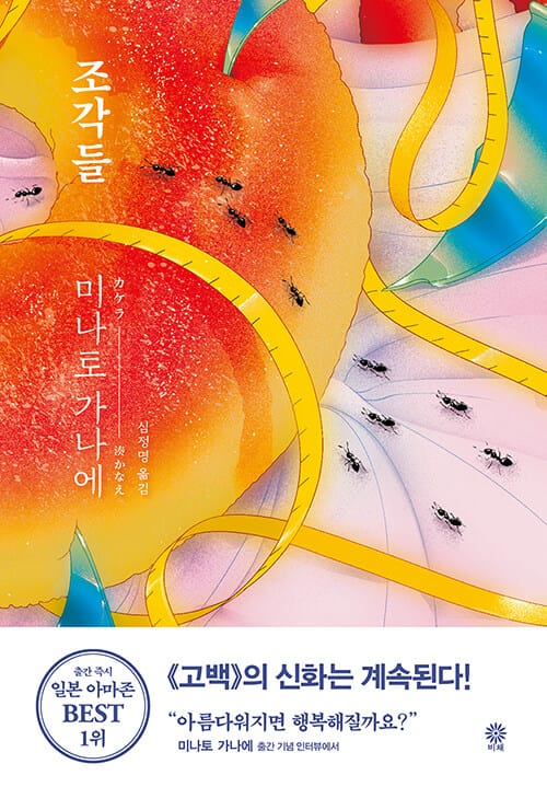 조각들(블랙 앤 화이트 시리즈 91) (カケラ)
