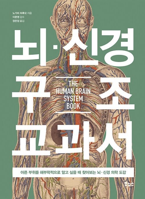 뇌·신경 구조 교과서 :아픈 부위를 해부학적으로 알고 싶을 때 찾아보는 뇌·신경 의학 도감