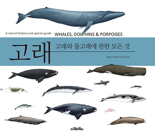 고래 :고래와 돌고래에 관한 모든 것 