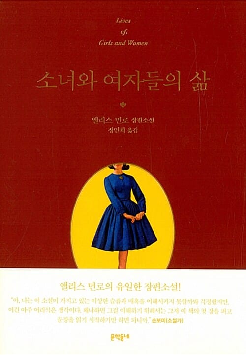 소녀와 여자들의 삶 :앨리스 먼로 장편소설 