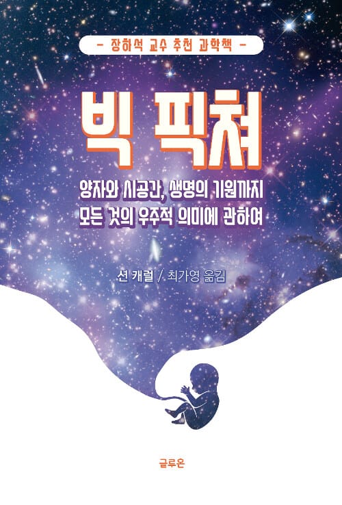 빅 픽쳐 :양자와 시공간, 생명의 기원까지 모든 것의 우주적 의미에 관하여