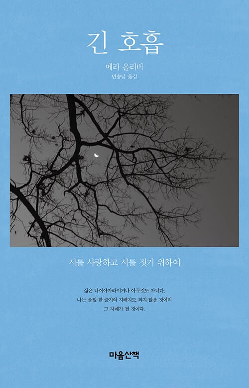 긴 호흡 :시를 사랑하고 시를 짓기 위하여