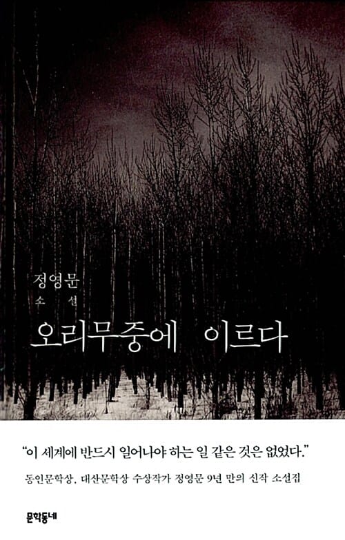오리무중에 이르다 :정영문 소설