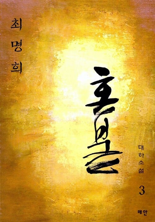 혼불 :대하소설