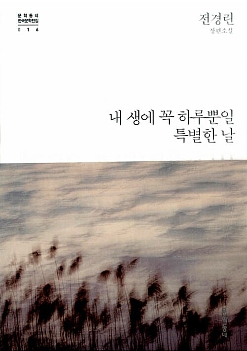 내 생에 꼭 하루뿐일 특별한 날 :전경린 장편소설
