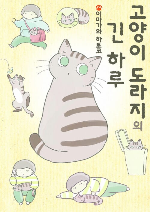 고양이 도라지의 긴 하루