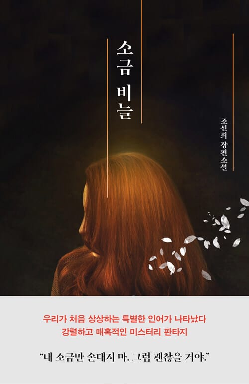소금 비늘 (조선희 장편소설)