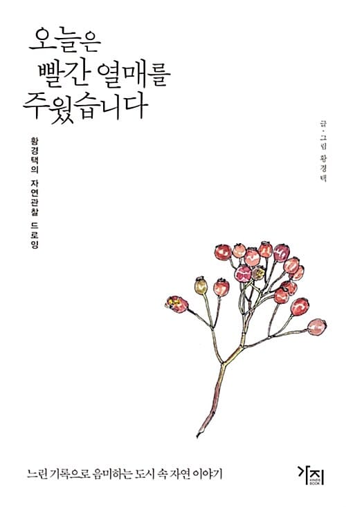 오늘은 빨간 열매를 주웠습니다 :황경택의 자연관찰 드로잉 