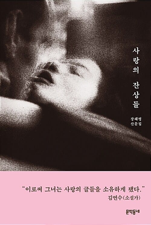 사랑의 잔상들 :장혜령 산문집 