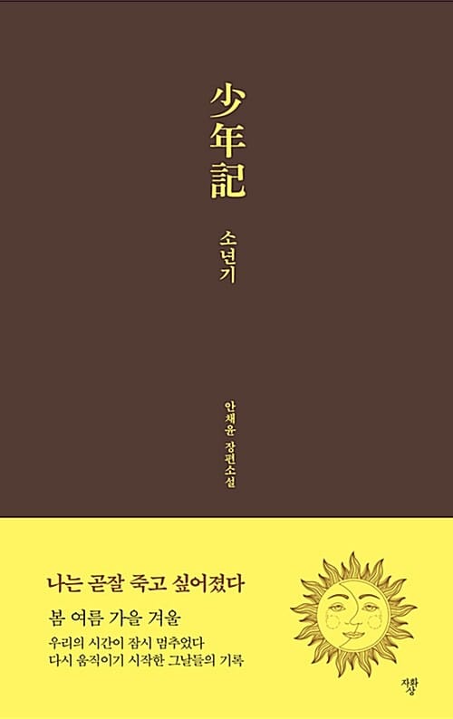 소년기 :안채윤 장편소설 