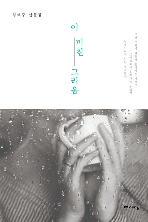 이 미친 그리움 :림태주 산문집 