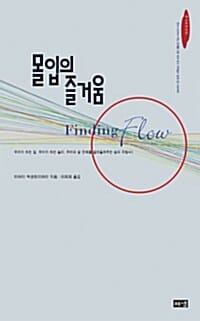 몰입의 즐거움