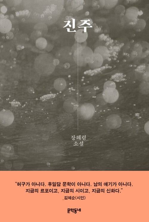 진주 :장혜령 소설 