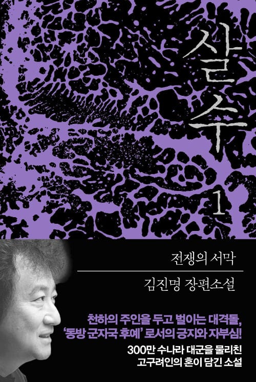 살수 :김진명 장편소설