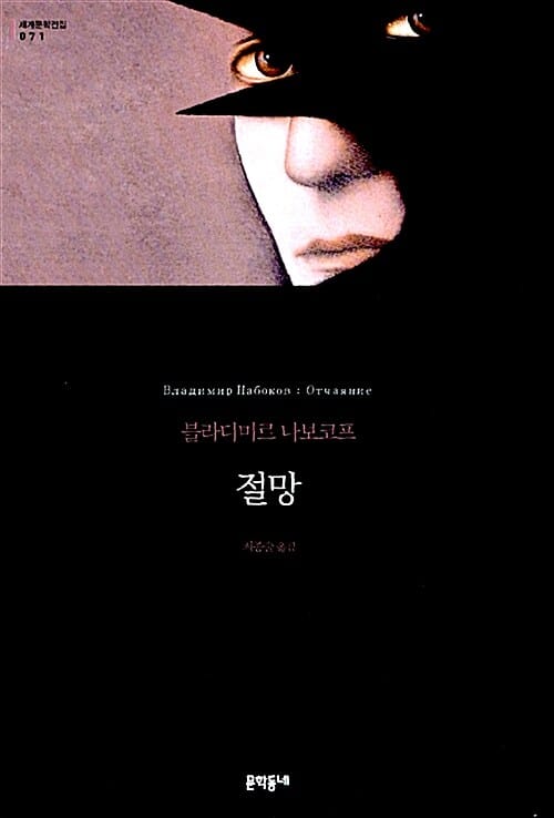 절망 (양장)