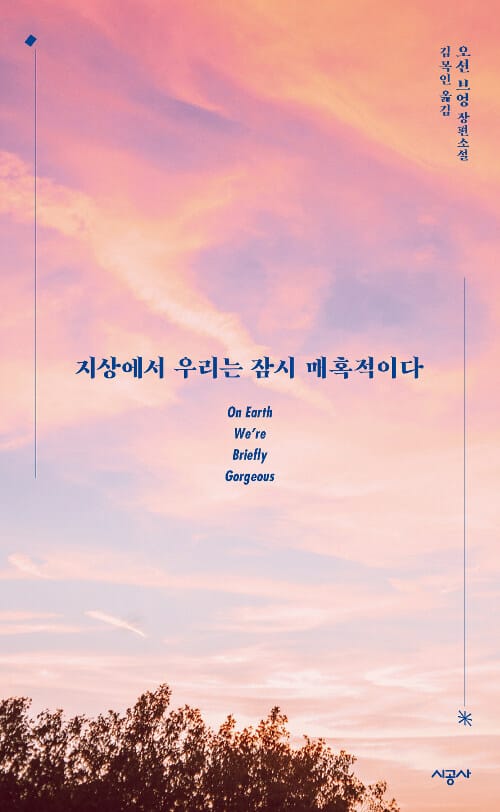 지상에서 우리는 잠시 매혹적이다 :오션 브엉 장편소설