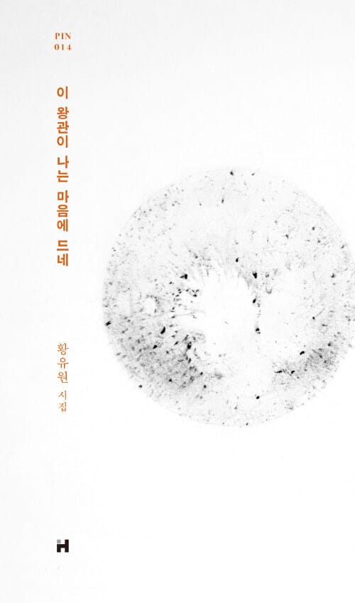 이 왕관이 나는 마음에 드네 :황유원 시집