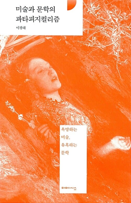 미술과 문학의 파타피지컬리즘