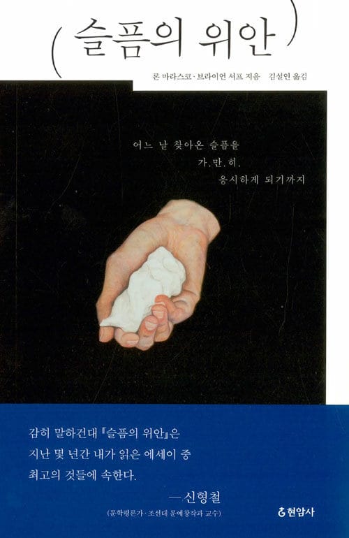 슬픔의 위안 :어느 날 찾아온 슬픔을 가만히 응시하게 되기까지 