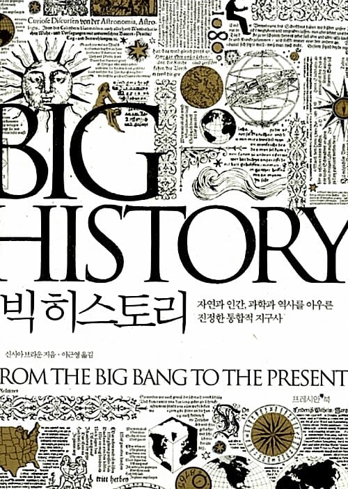 빅 히스토리 :자연과 인간, 과학과 역사를 아우른 진정한 통합적 지구사