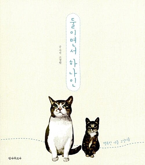 둘이면서 하나인 :행복한 커플 고양이들