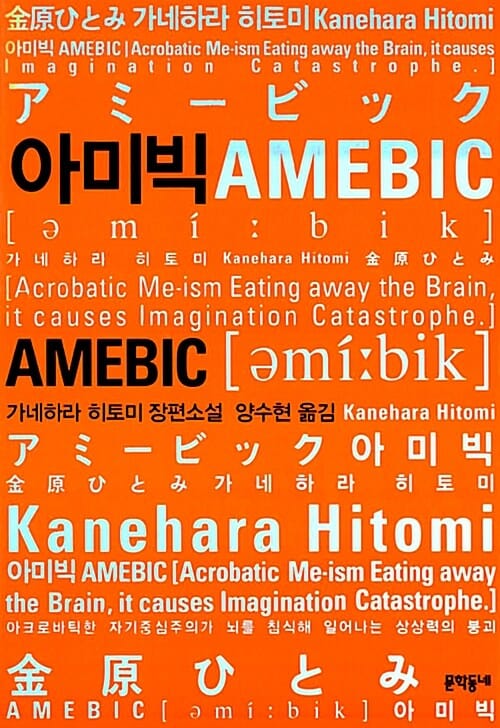 아미빅 :가네하라 히토미 장편소설
