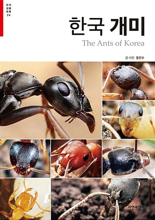 한국 개미 =The ants of Korea