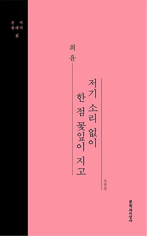 저기 소리 없이 한 점 꽃잎이 지고 :최윤 소설집 