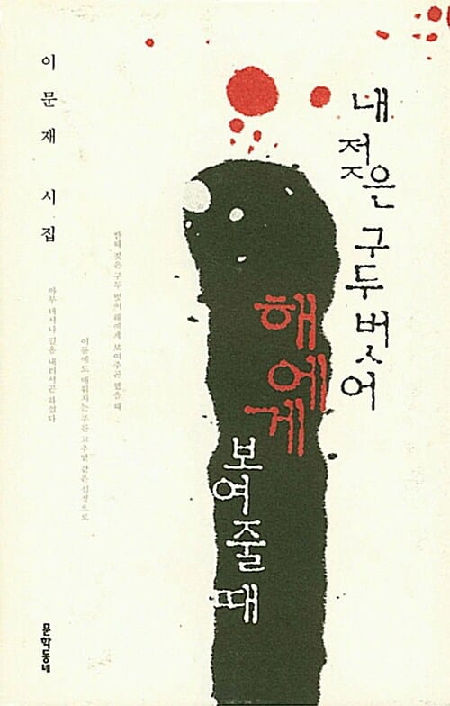 내 젖은 구두 벗어 해에게 보여줄 때:이문재 시집