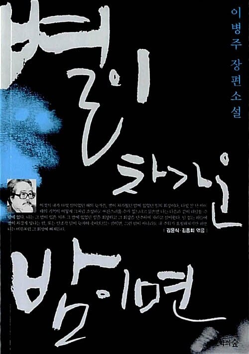 별이 차가운 밤이면 (이병주 장편소설)