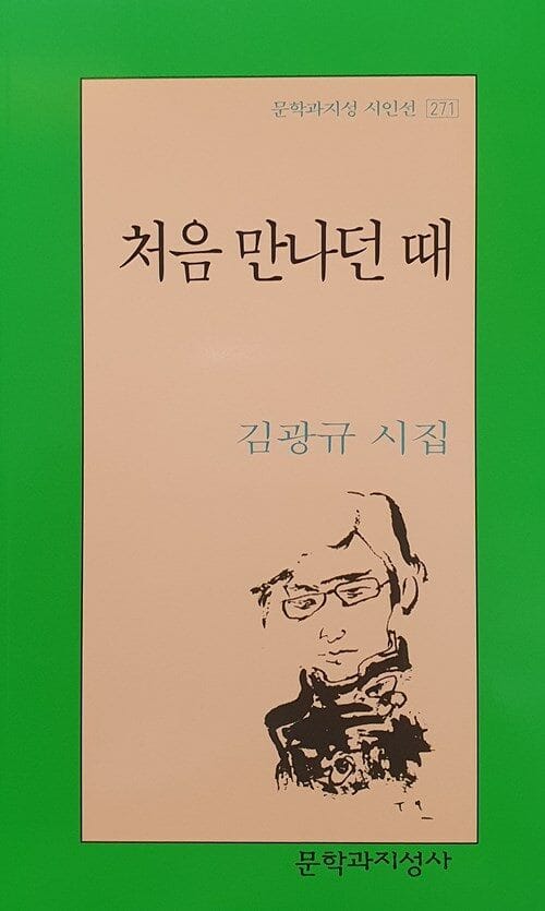 처음 만나던 때:김광규 시집