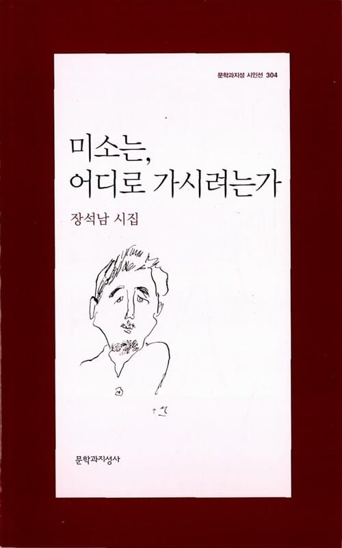 미소는, 어디로 가시려는가 (문학과지성 시인선 304)