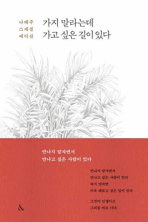 가지 말라는데 가고 싶은 길이 있다 (나태주 스페셜 에디션)