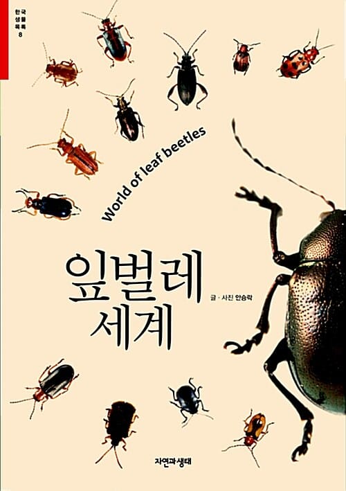 잎벌레 세계 =World of leaf beetles