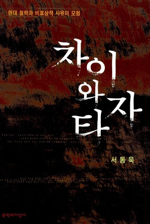 차이와 타자