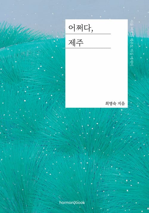 어쩌다, 제주 (서울 여자의 제주도 마실 에세이)