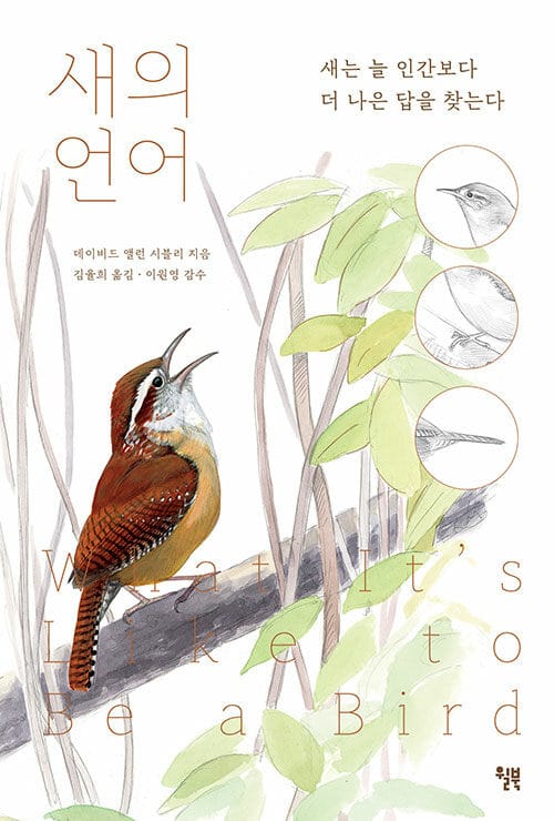 새의 언어 (새는 늘 인간보다 더 나은 답을 찾는다)