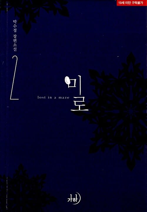 미로 =박수정 장편소설.Lost in a maze 