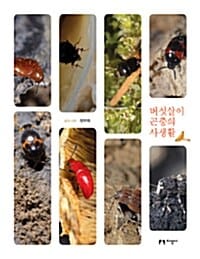 버섯살이 곤충의 사생활 