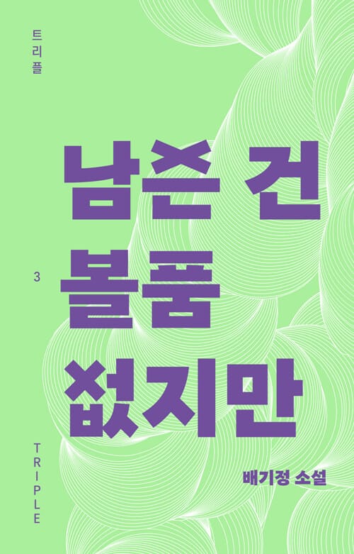 남은 건 볼품없지만 (배기정 소설)