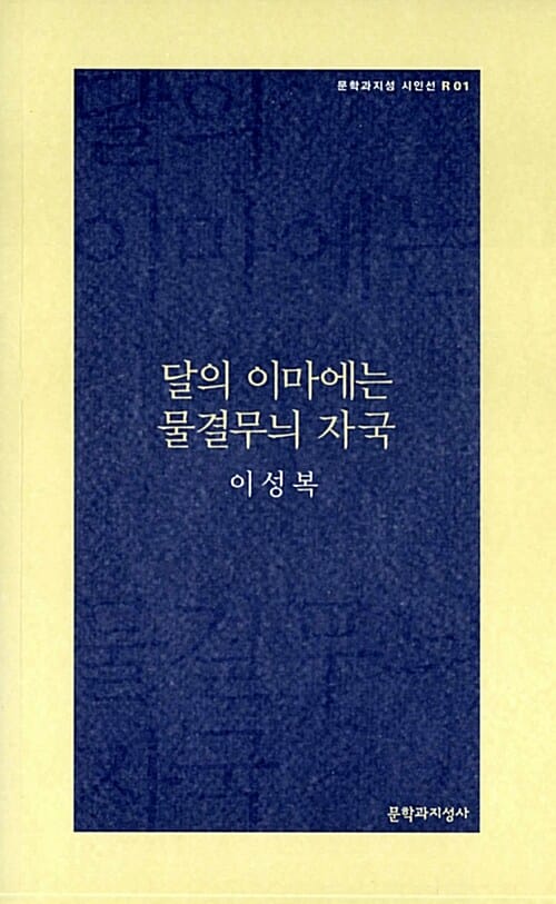 달의 이마에는 물결무늬 자국 (문학과지성 시인선 R 1)