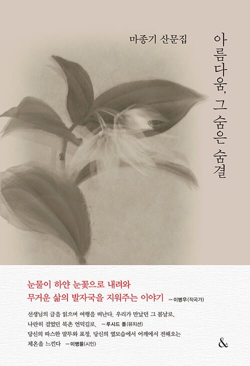 아름다움, 그 숨은 숨결 (마종기 산문집)