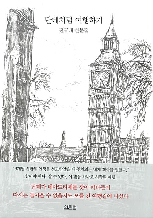 단테처럼 여행하기 :전규태 산문집