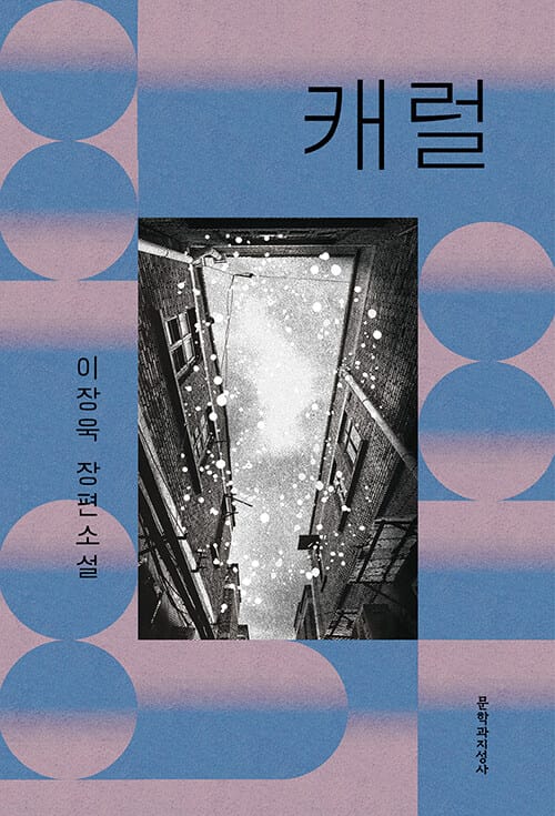 캐럴 (이장욱 장편소설)