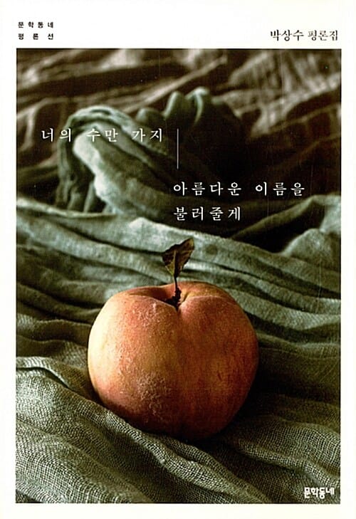 너의 수만 가지 아름다운 이름을 불러줄게 :박상수 평론집 