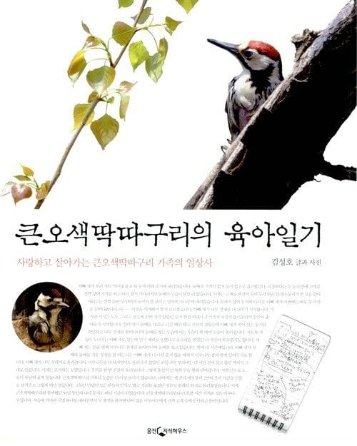큰오색딱따구리의 육아일기 :사랑하고 살아가는 큰오색딱따구리 가족의 일상사