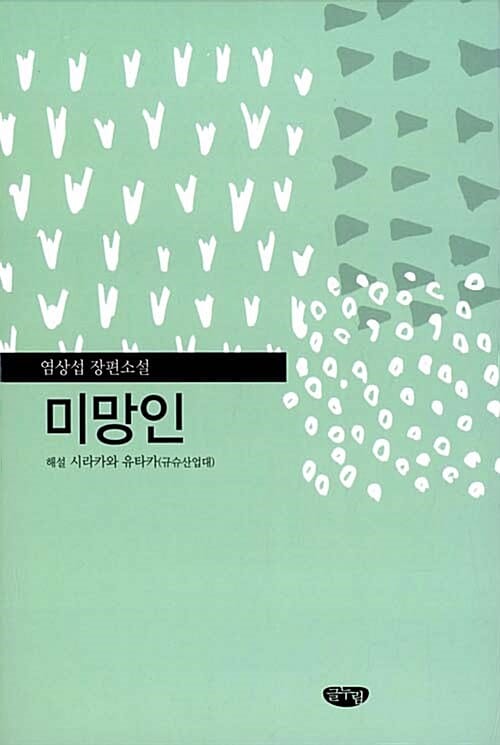 미망인 :염상섭 장편소설
